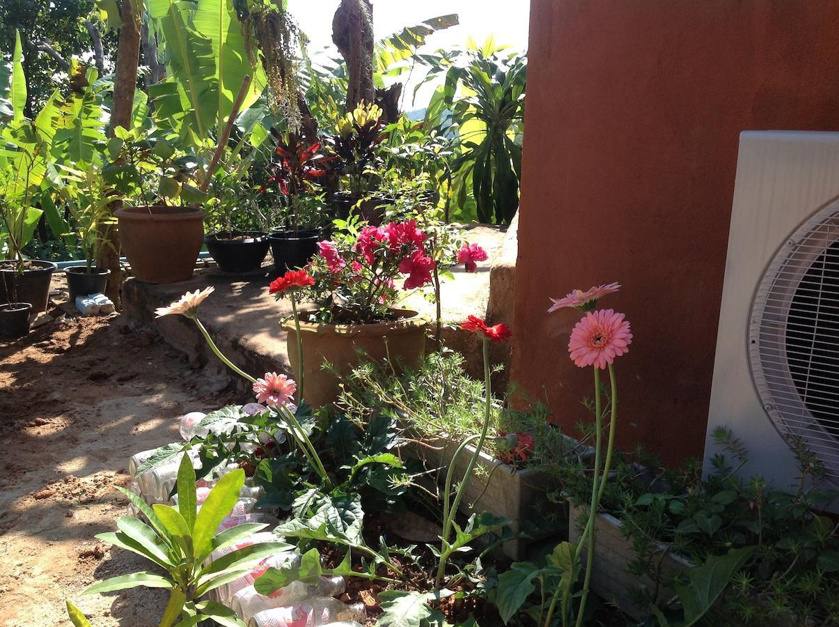 Baan Plubpla Wilai Hotel บ้านปูไข่ ห้อง รูปภาพ